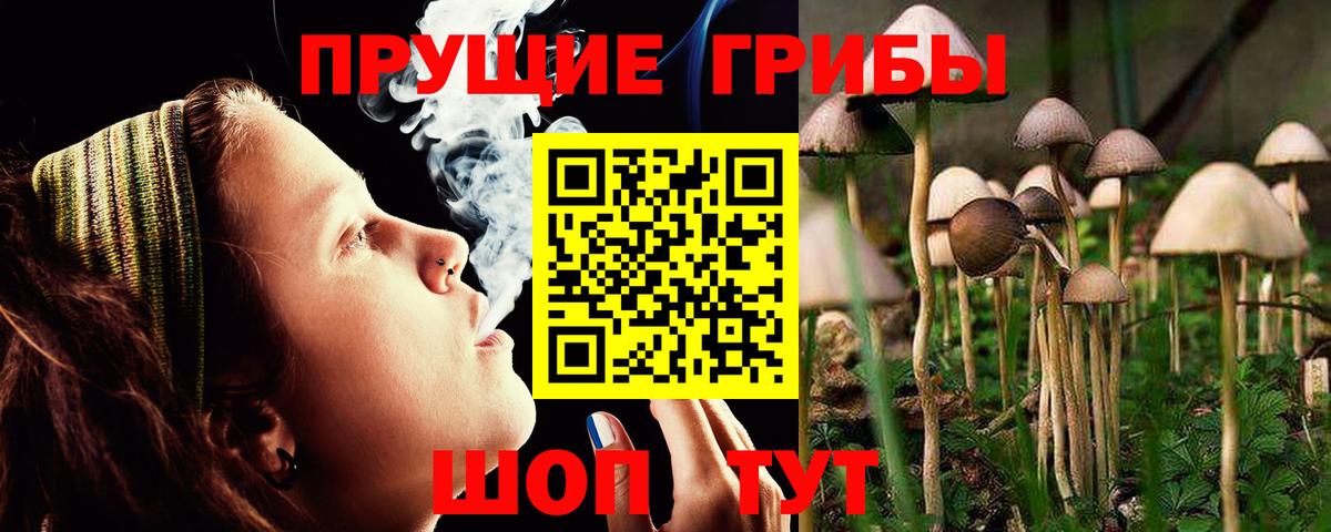 Псилоцибиновые грибы MAGIC MUSHROOMS Кисловодск
