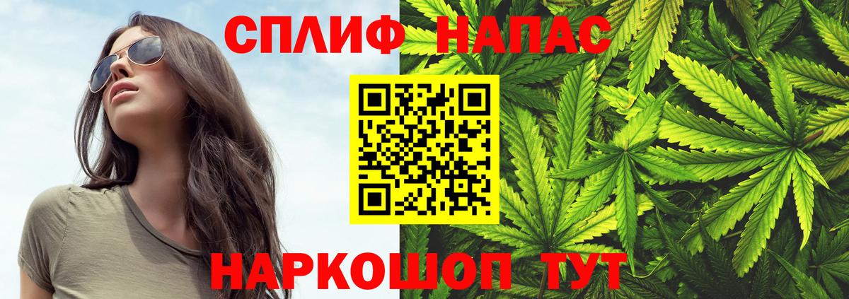 Конопля конопля Кисловодск
